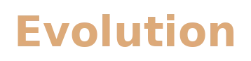 Evolution games at Fortune Clock Casino